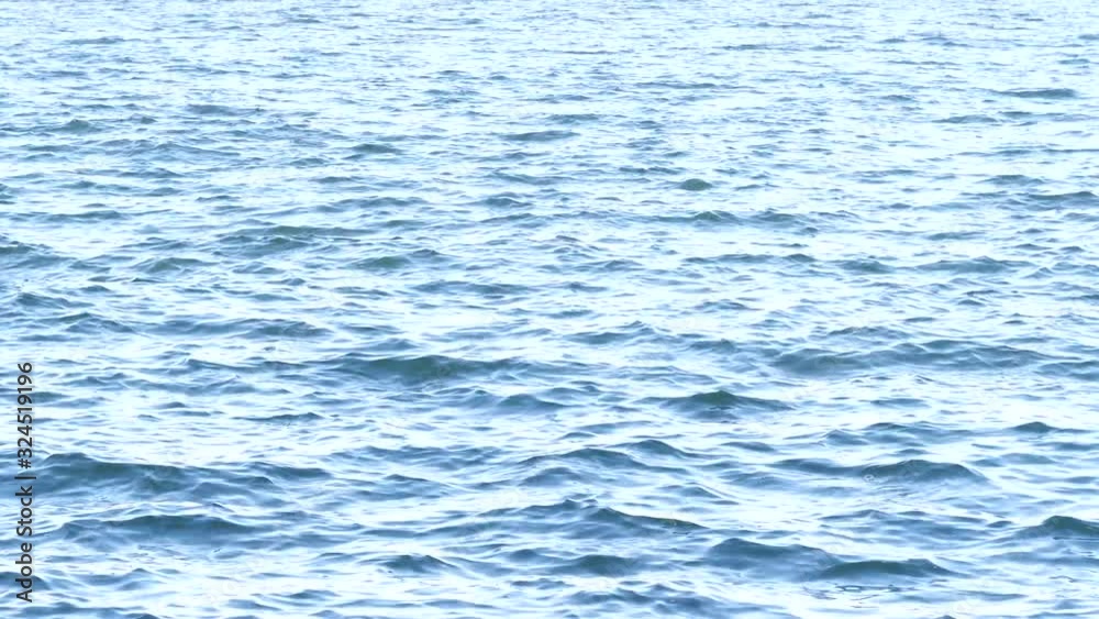 wave wave