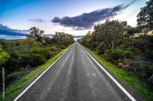 Carretera vacía en un paisaje verde