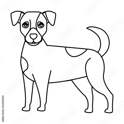 cute dog animal line style icon vector illustration design