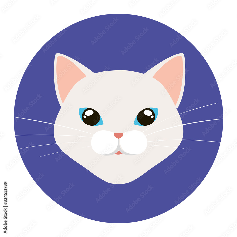 Obraz premium face of cat white in frame circular vector illustration design