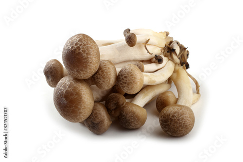 Buna shimeji mushroom (Brown Beech Mushroom)