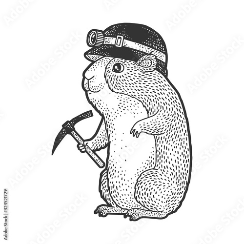 Cartoon guinea pig miner sketch engraving vector illustration. T-shirt apparel print design. Scratch board imitation. Black and white hand drawn image.