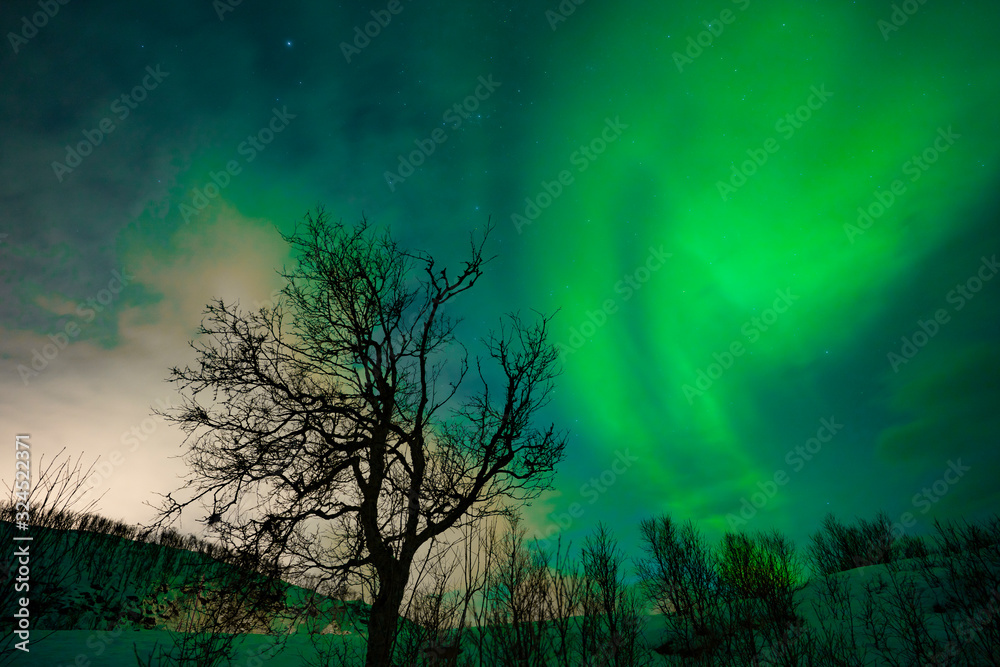 polar lights on Kvaloeya island near Tromsoe, northern Norway, landscapephotography polar lights on Kvaloeya island near Tromsoe, northern Norway, landscapephotography