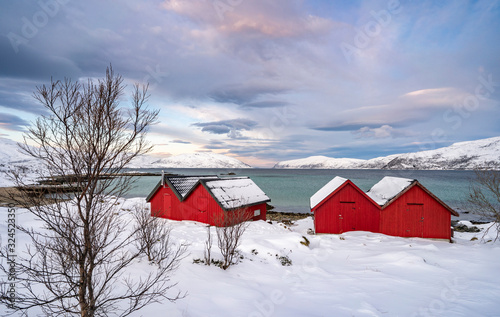 winterlandscape with dramat...