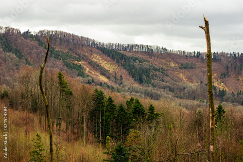 Picturesque landscape with colorfull autumn trees during the sunset, mountains in the background. Koprivnice photo