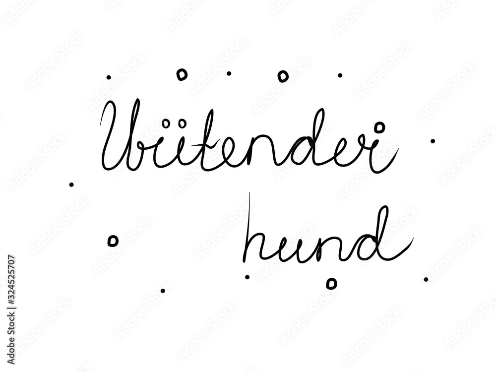 Wütender hund phrase handwritten with a calligraphy brush. Angry dog in german. Modern brush calligraphy. Isolated word black