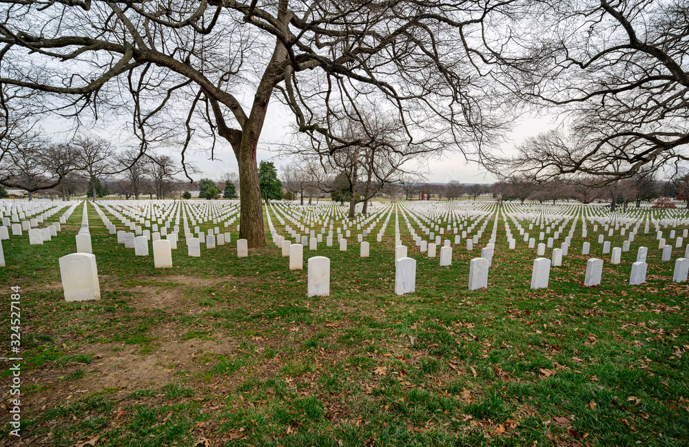 Military Arlington National Cemetery