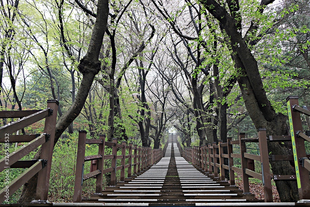 여행중찍은꽃과풍경입니다