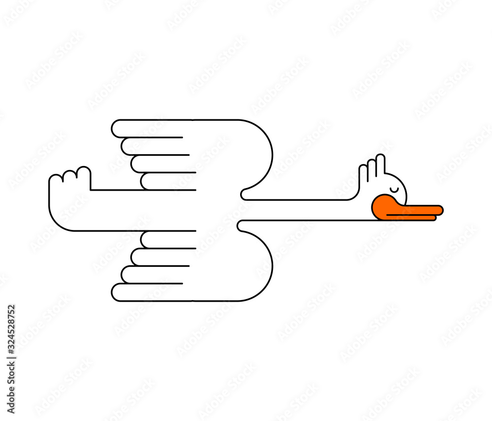 White goose flying isolated. ducks bird of passage. vector illustration White goose flying isolated. ducks bird of passage. vector illustration