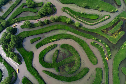 Aerial photo of reed maze in Dazhong lake  Yancheng City  Jiangsu Province  China