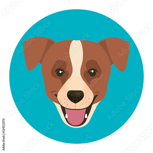 face of brown dog with white spot in frame circular vector illustration design