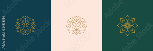 Vector line minimal decoration design elements set - rose flower and botanical leaves illustrations minimal linear style