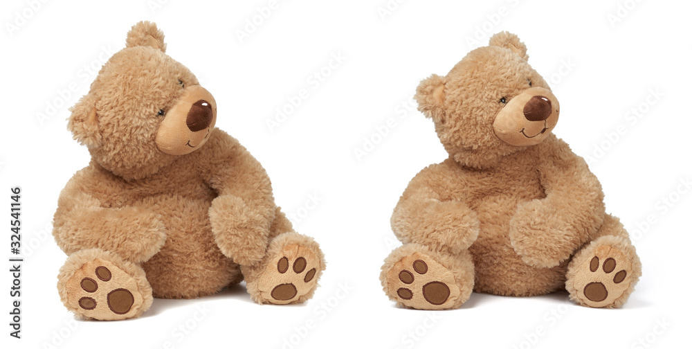 big curly brown teddy bear sits on a white isolated background big curly brown teddy bear sits on a white isolated background