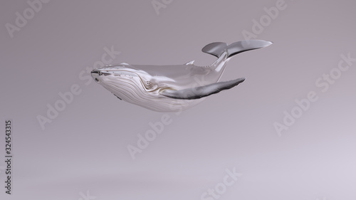Silver Humpback Whale View 3d illustration 3d render