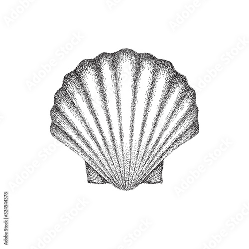 Scallop shell hand drawing in dotwork style. Vector illustration