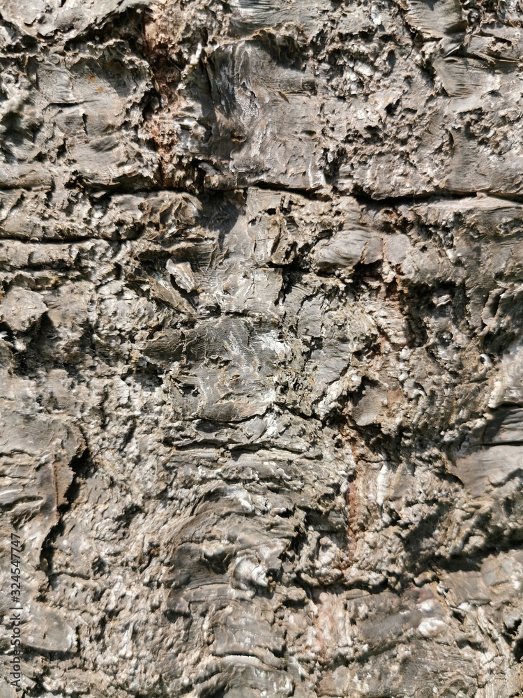 texture of stone texture of stone