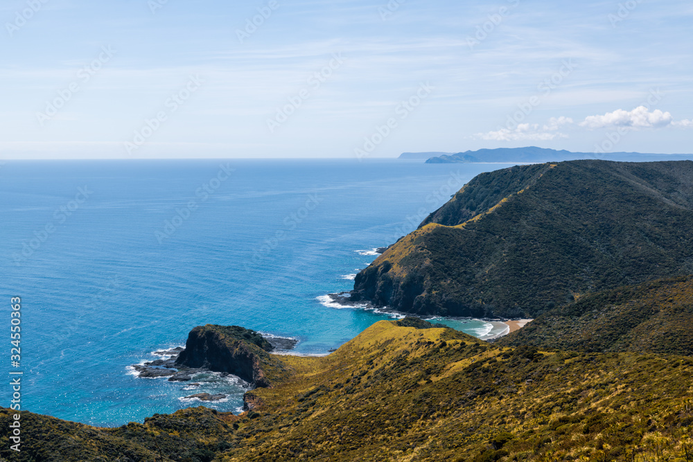 cliffs on the coast of new zealand at cape reinga