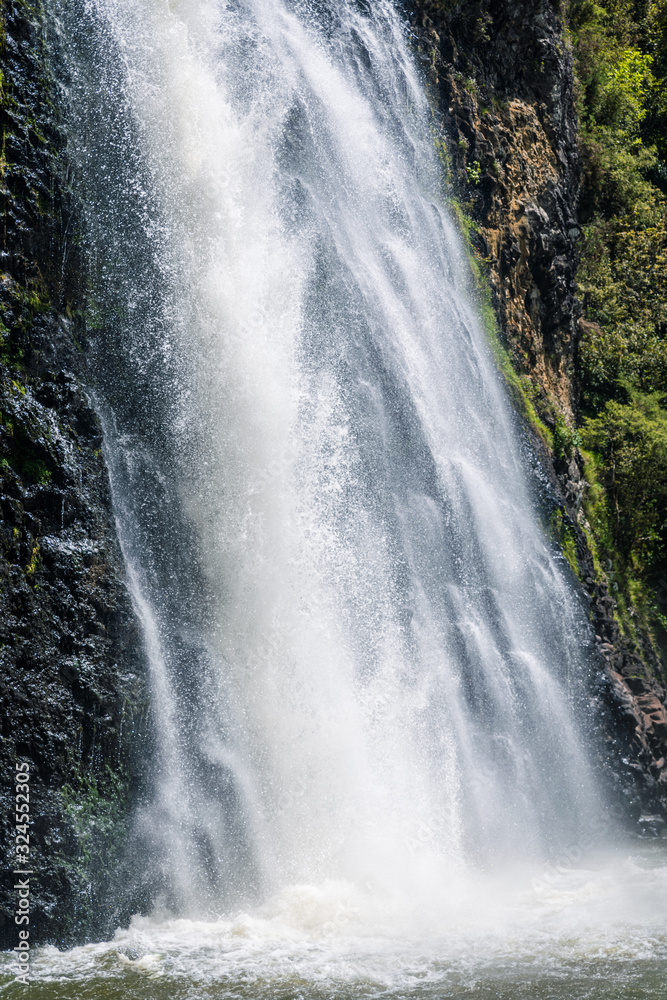 Fototapeta premium waterfall in forest, hunua, new zealand