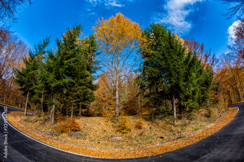 Beautiful view of a forest with trees and foliage autumn leaves on the road to Sfanta Ana, ‎Harghita County, Romania photo