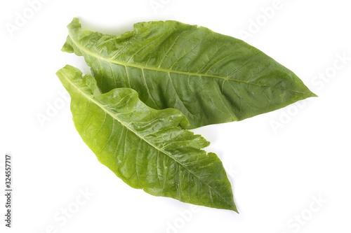 Two tobacco leaves
