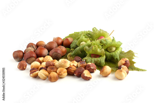 Hazelnuts and peeled hazelnuts isolated on white