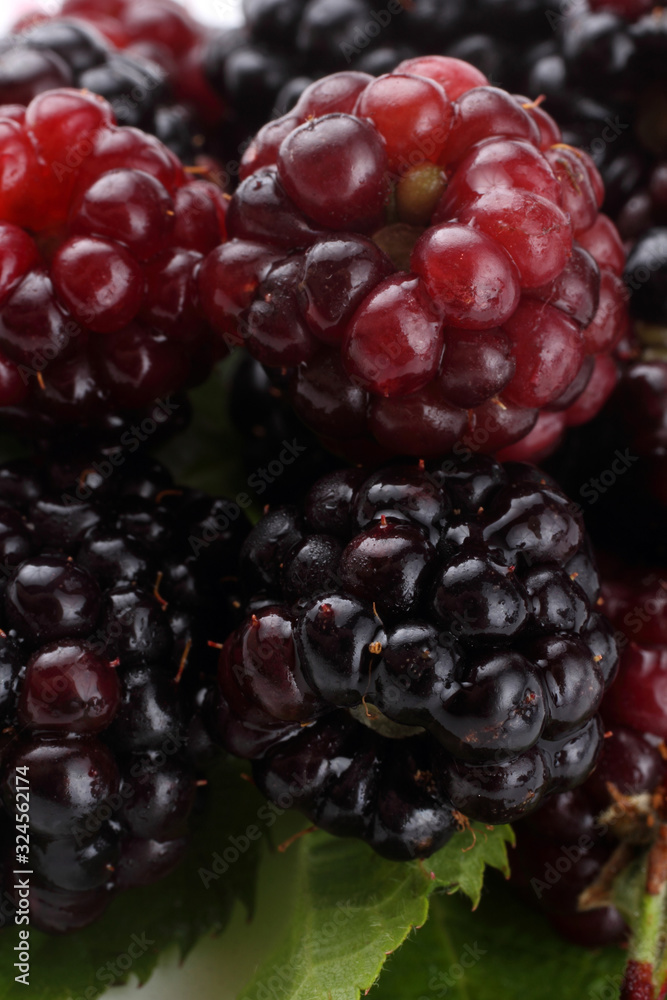 Blackberry background. Macro Blackberry background. Macro