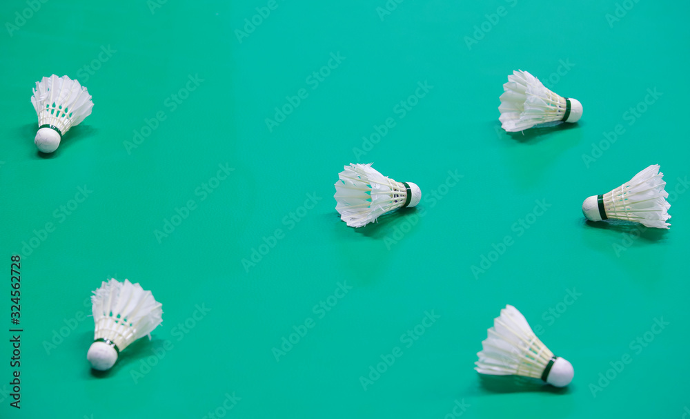 shuttlecock in badminton courts shuttlecock in badminton courts