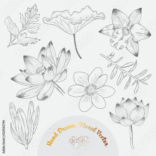 Set of hand drawn tropical flowers and leaves vector in black and white styles.