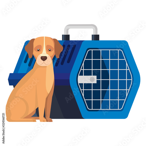 cute dog with pet carry box isolated icon vector illustration design