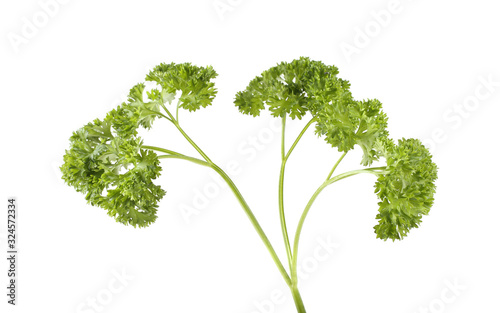 Parsley isolated on white