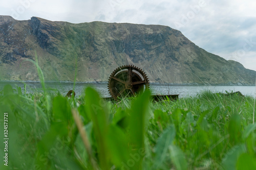 gear laying in green grass