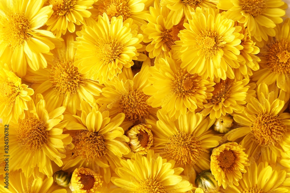 background of yellow flowers background of yellow flowers