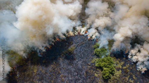 Aerial view Fire in the forest burning trees and grass Natural fires