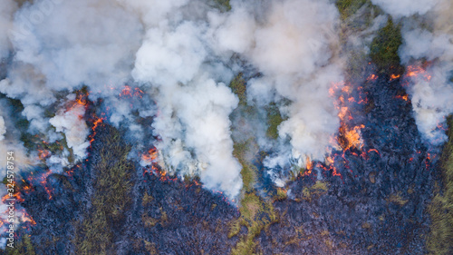 Aerial view Fire in the forest burning trees and grass Natural fires