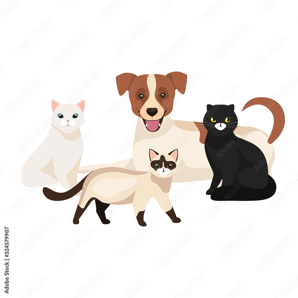 group of cute cats with dog isolated icons vector illustration design