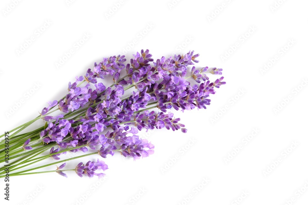 Lavender. Lavender.
