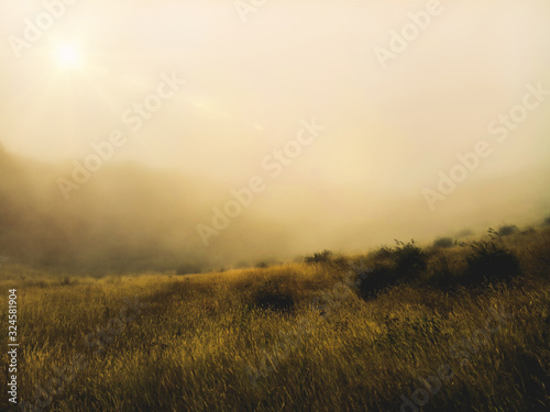 The sun shines against the white mist floating on the top of the hill © D. WoStock