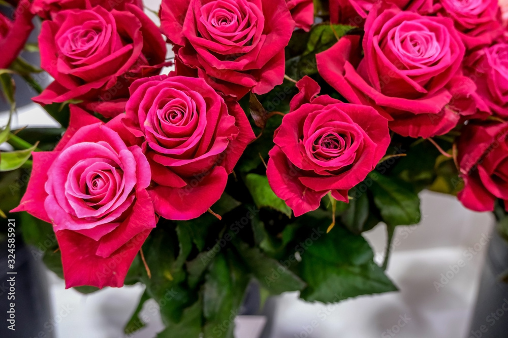 Roses in floral shop, fresh cut roses, beautiful flower background. Roses in floral shop, fresh cut roses, beautiful flower background.