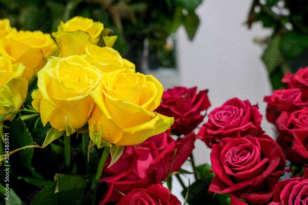 Roses in floral shop, fresh cut roses, beautiful flower background. Roses in floral shop, fresh cut roses, beautiful flower background.