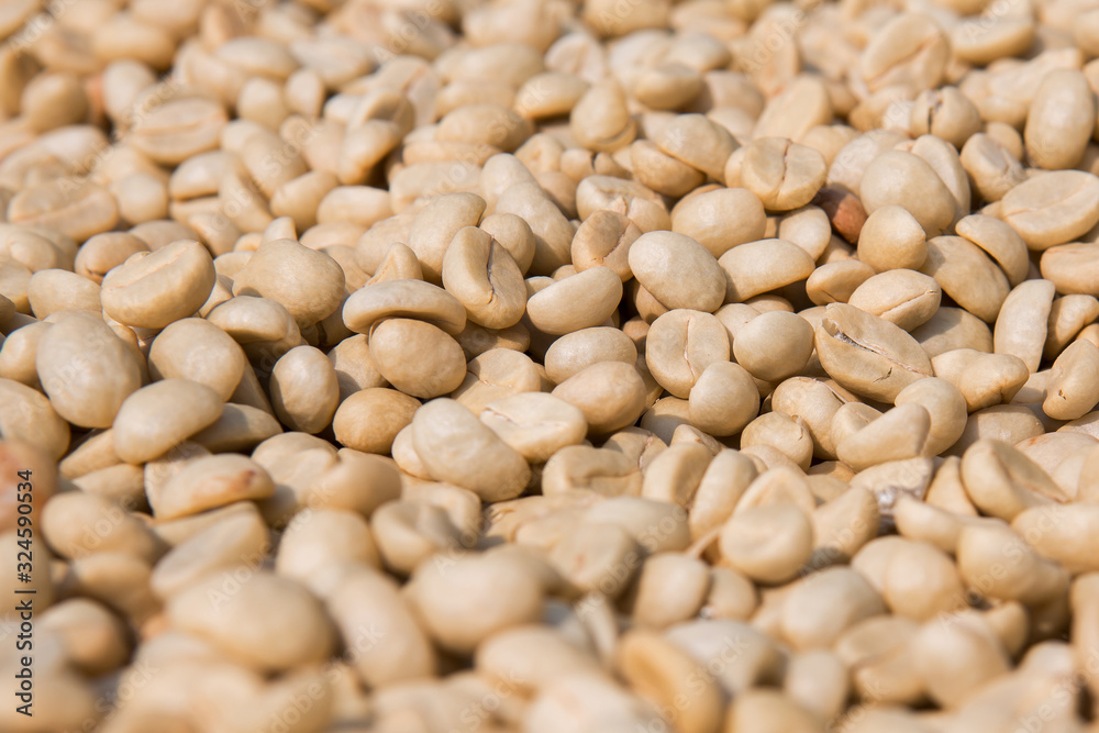 Coffee beans that have not been roasted Coffee beans that have not been roasted