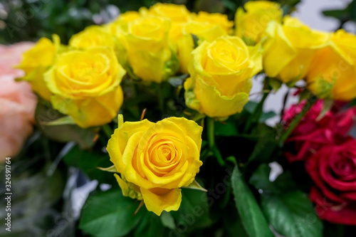Yellow roses close up, beautiful bouquet. Beautiful yellow floral background. Concept of holiday, presents, flower shop.