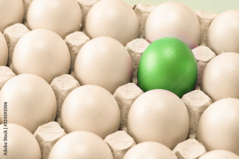many white eggs laid in straight rows in the egg cell, and one green one. warm shade, close-up. symbol of individuality. concept for Easter many white eggs laid in straight rows in the egg cell, and one green one. warm shade, close-up. symbol of individuality. concept for Easter