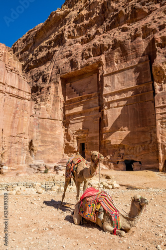 Two camels waiting at the Camel Riding Point at the scenery Street of Facades under the beautiful sunny day at Petra ancient religious complex and tourist attraction, Hashemite Kingdom of Jordan