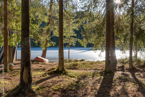 Sunny winter day by frozen pond photo