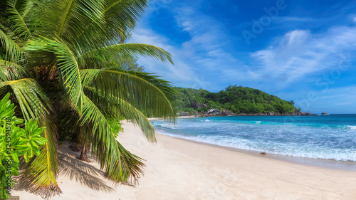 Fototapeta Naklejka Na Ścianę i Meble -  Tropical Sunny beach with coco palms and turquoise sea. Summer vacation and tropical beach concept.	