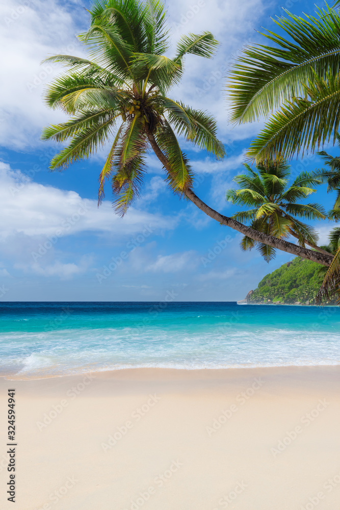 Tropical Beach. Sunny beach with coco palms and turquoise sea in Jamaica Caribbean island. Summer vacation and tropical beach concept.	
