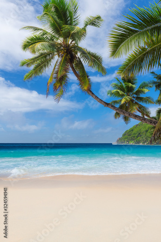 Tropical Beach. Sunny beach with coco palms and turquoise sea in Jamaica Caribbean island. Summer vacation and tropical beach concept. 