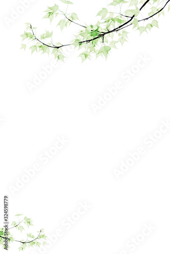 Pure and  fresh maple leaf letter border and frame background pattern, Edge illustration.Is lsolated on white background.