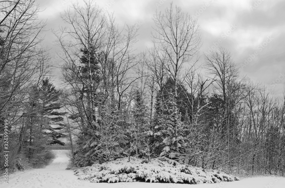 Fototapeta premium 558-02 Newport Winter Morning
