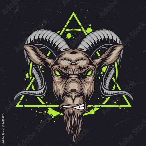 Capricorn zodiac sign vintage concept